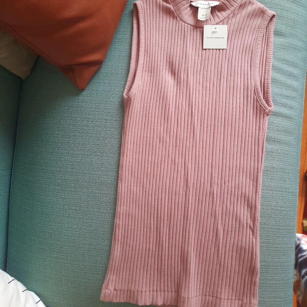 Brand New Club Monaco Top in Blush